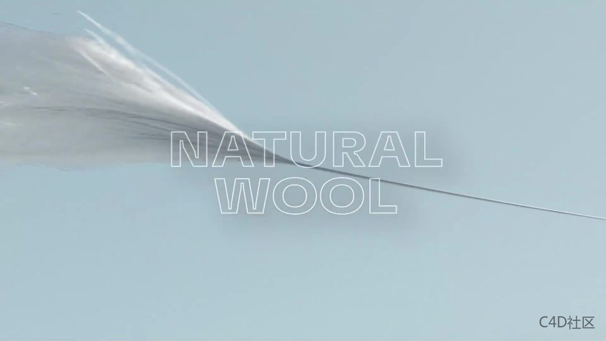 Timberland True Cloud运动高帮鞋-帆布鞋动画