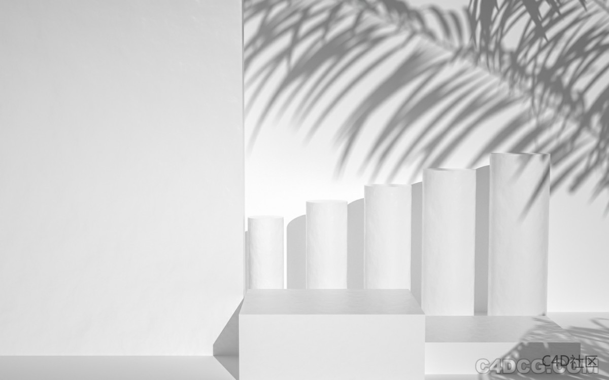 电商简约场景-白模带铁树叶背景阴影