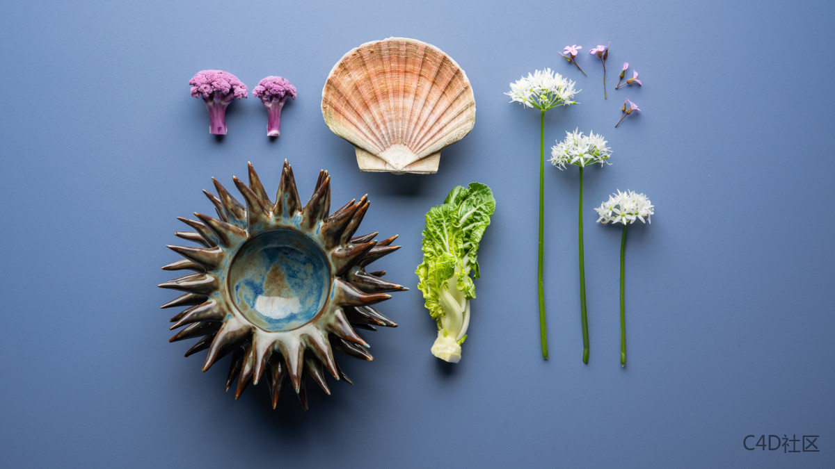 美食摄影-每一道美食都是精品-behance