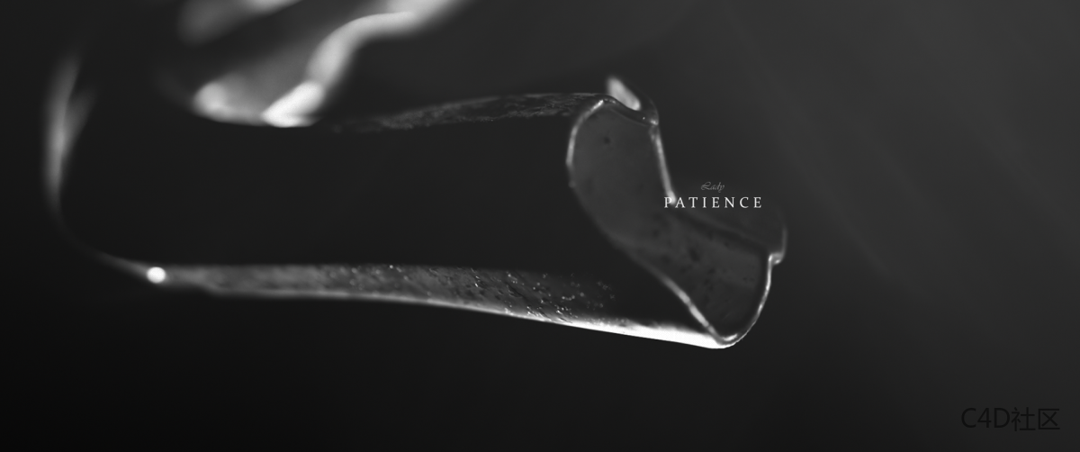 2020年的回顾-Benjamin Benhaim