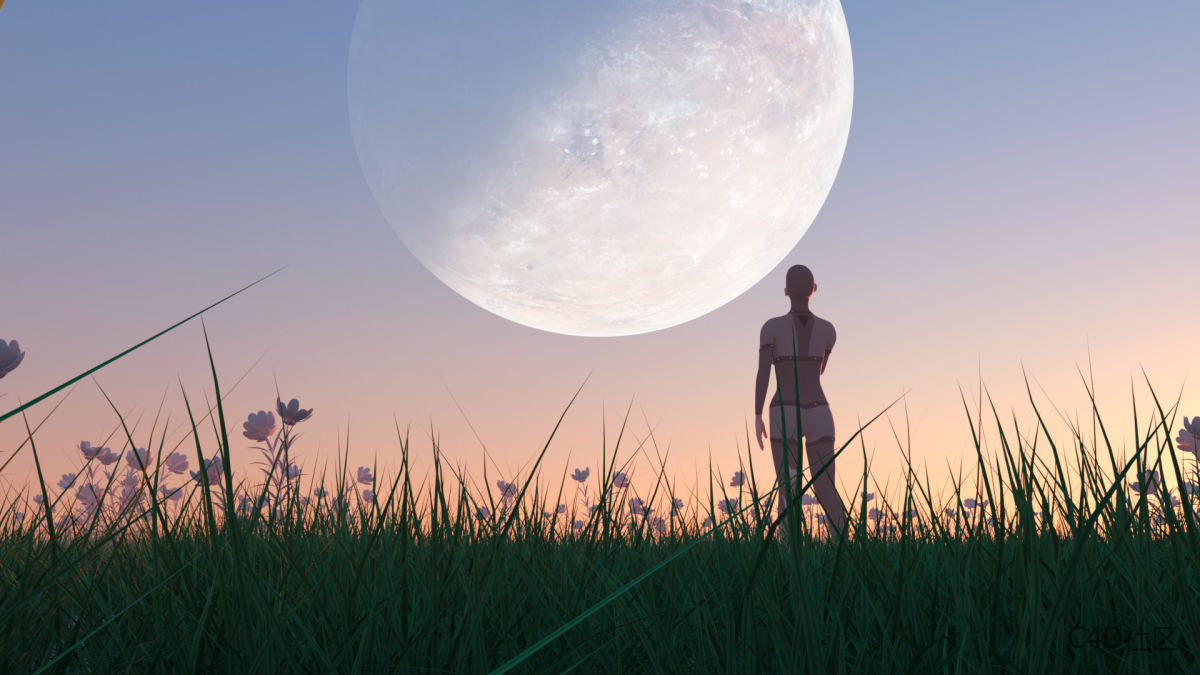 数十亿个宇宙躺在流浪者的路上。如何不迷路?