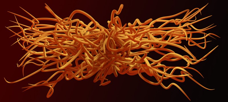 Umami 1.2.3 for Cinema 4D 随机样条插件