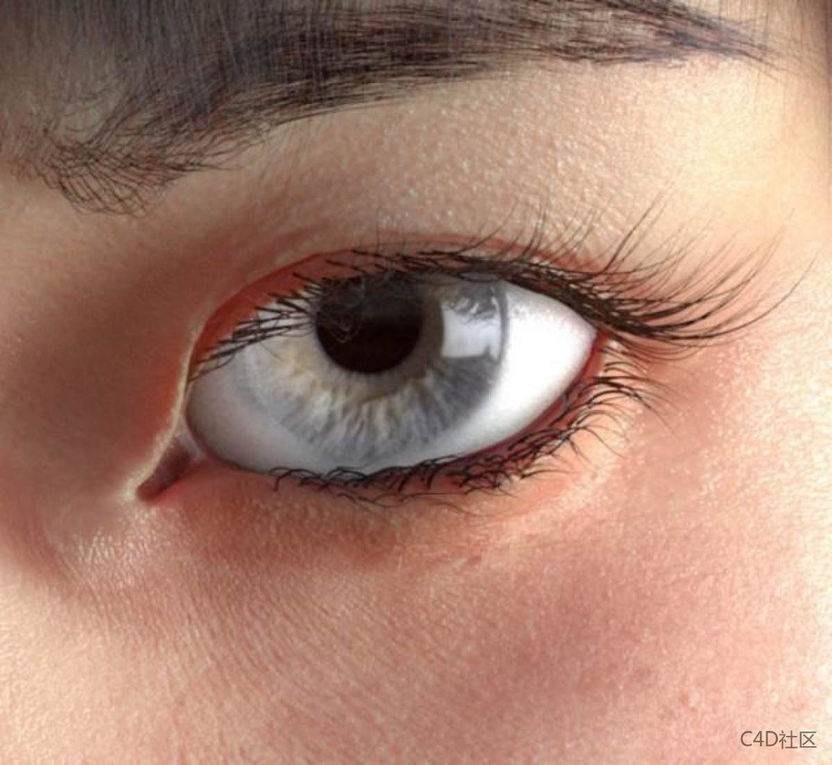 眼睛建模逐步剖析教学-超详细