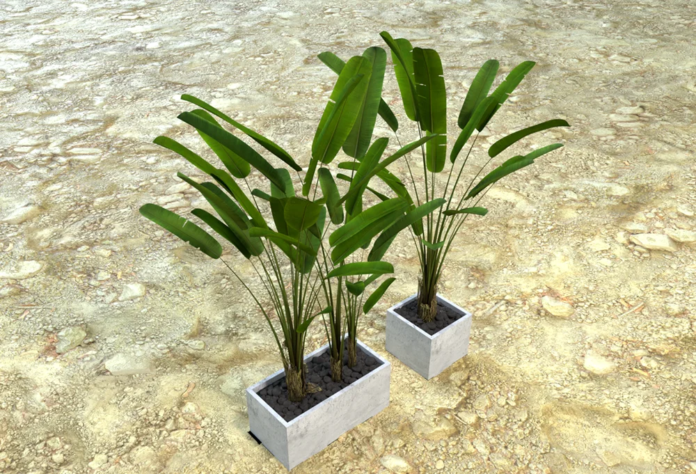 小型芭蕉树家庭绿化花盆-Octane材质