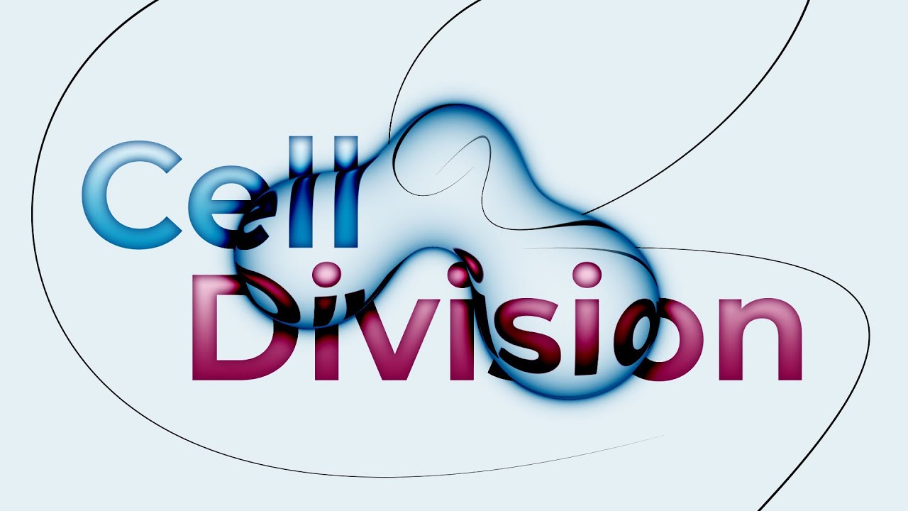 Cell Division 2 V1.10 fro After Effects 流体特效模拟脚本