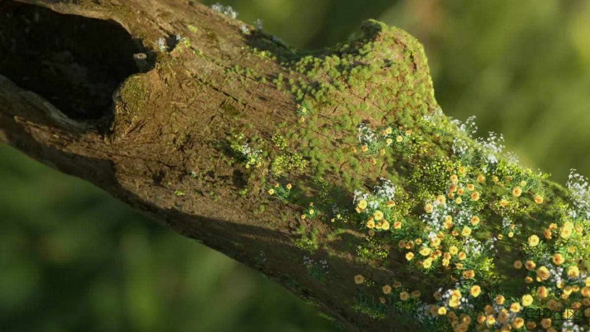 写实渲染大片：万物生