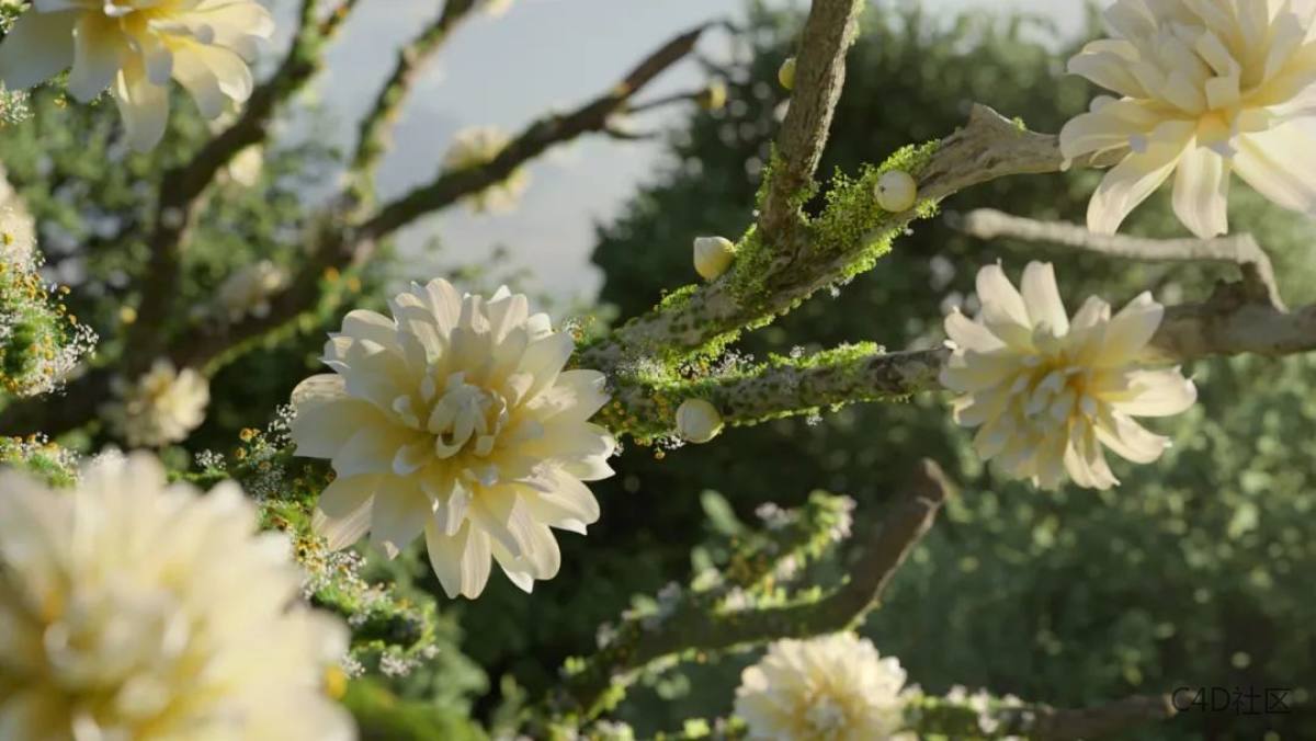 写实渲染大片：万物生