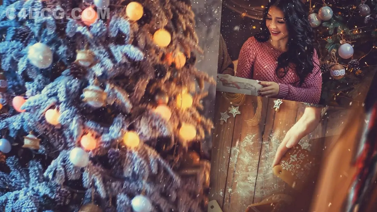 圣诞节相册动画模板-Christmas Photo Logo