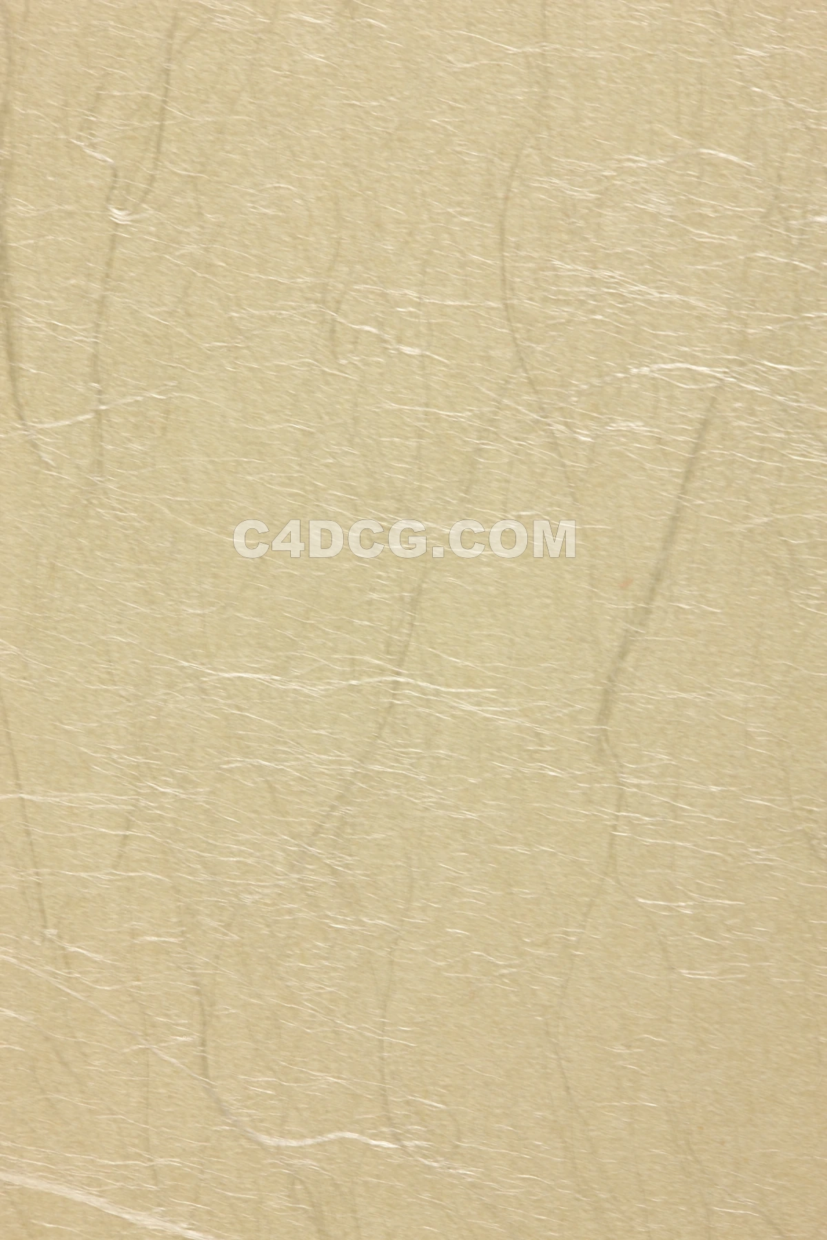 纸纹理-宣纸 (2)