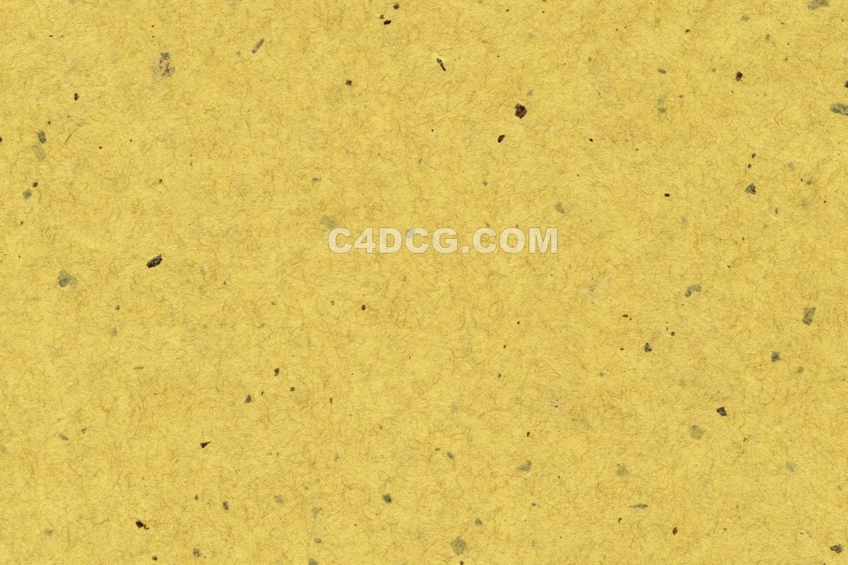 纸纹理-横版宣纸 (205)