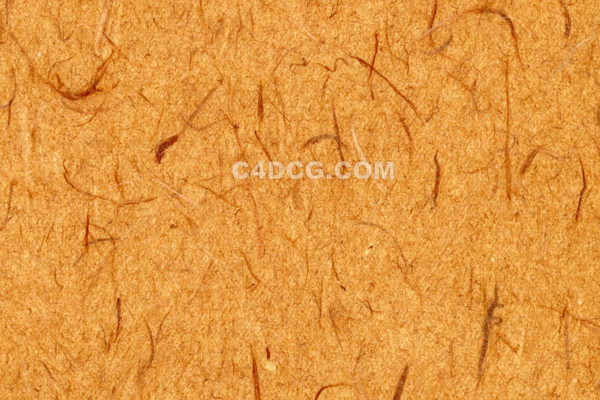 纸纹理-横版宣纸 (188)