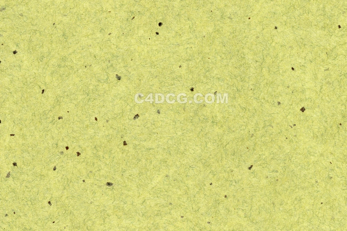 纸纹理-横版宣纸 (211)