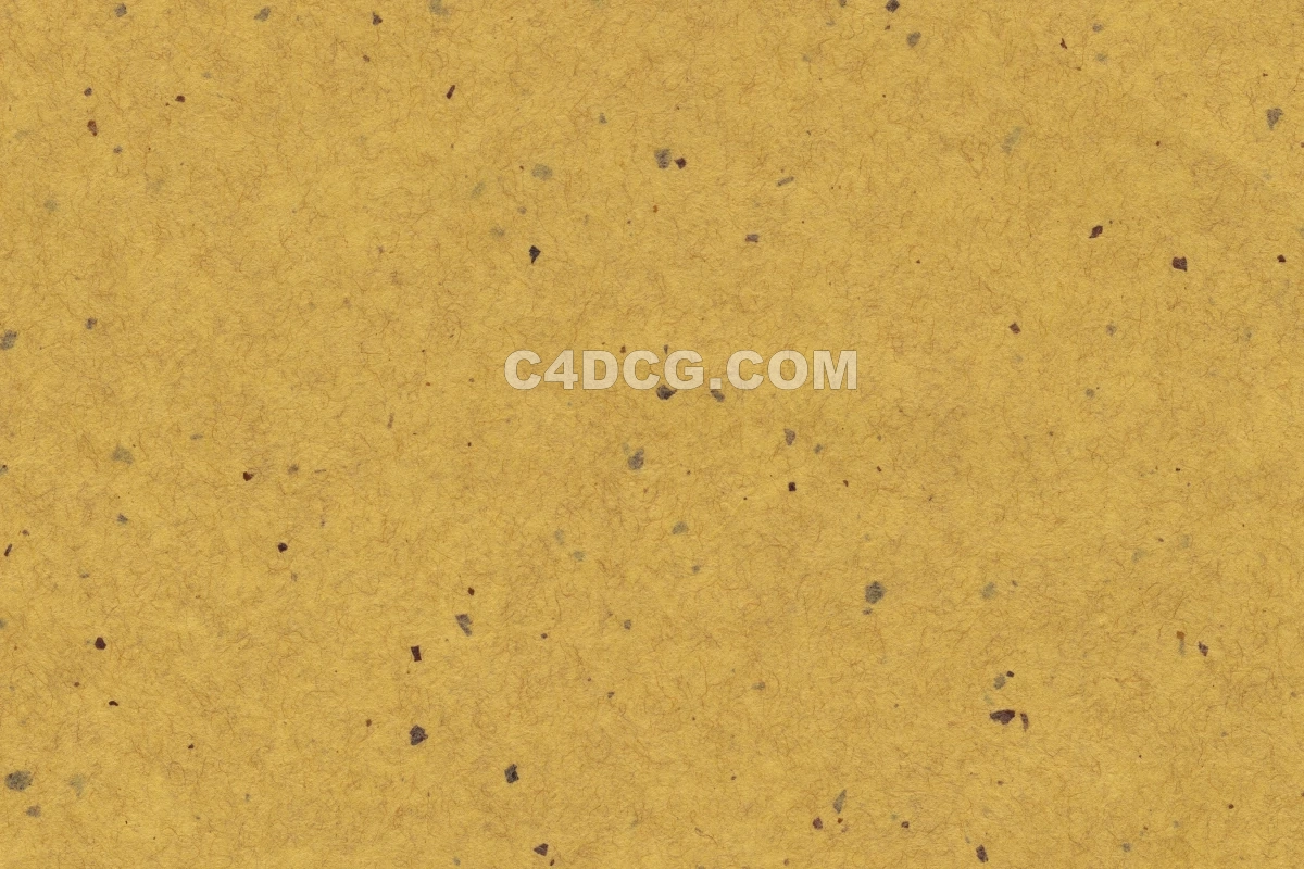 纸纹理-横版宣纸 (206)