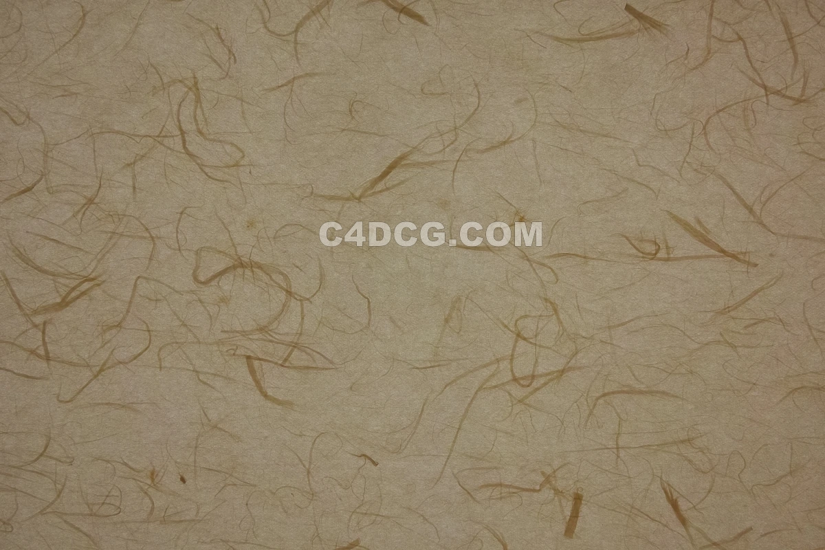 纸纹理-横版宣纸 (143)