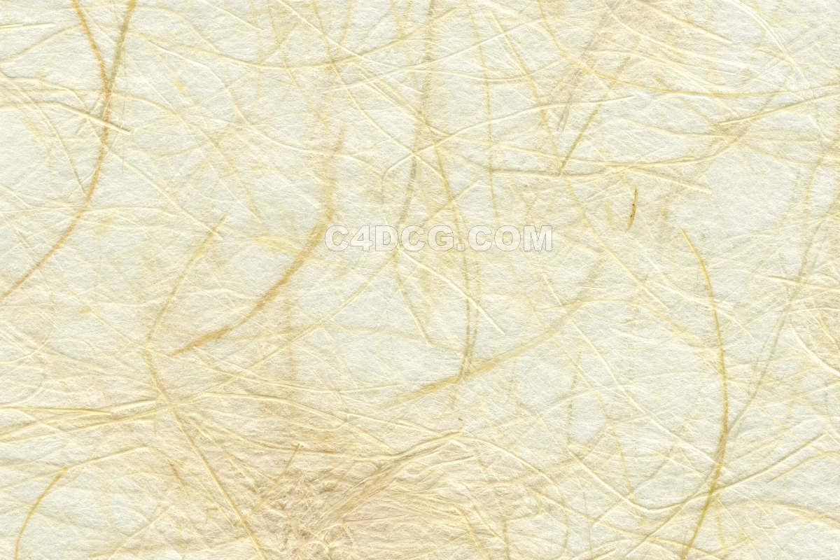 纸纹理-横版宣纸 (77)