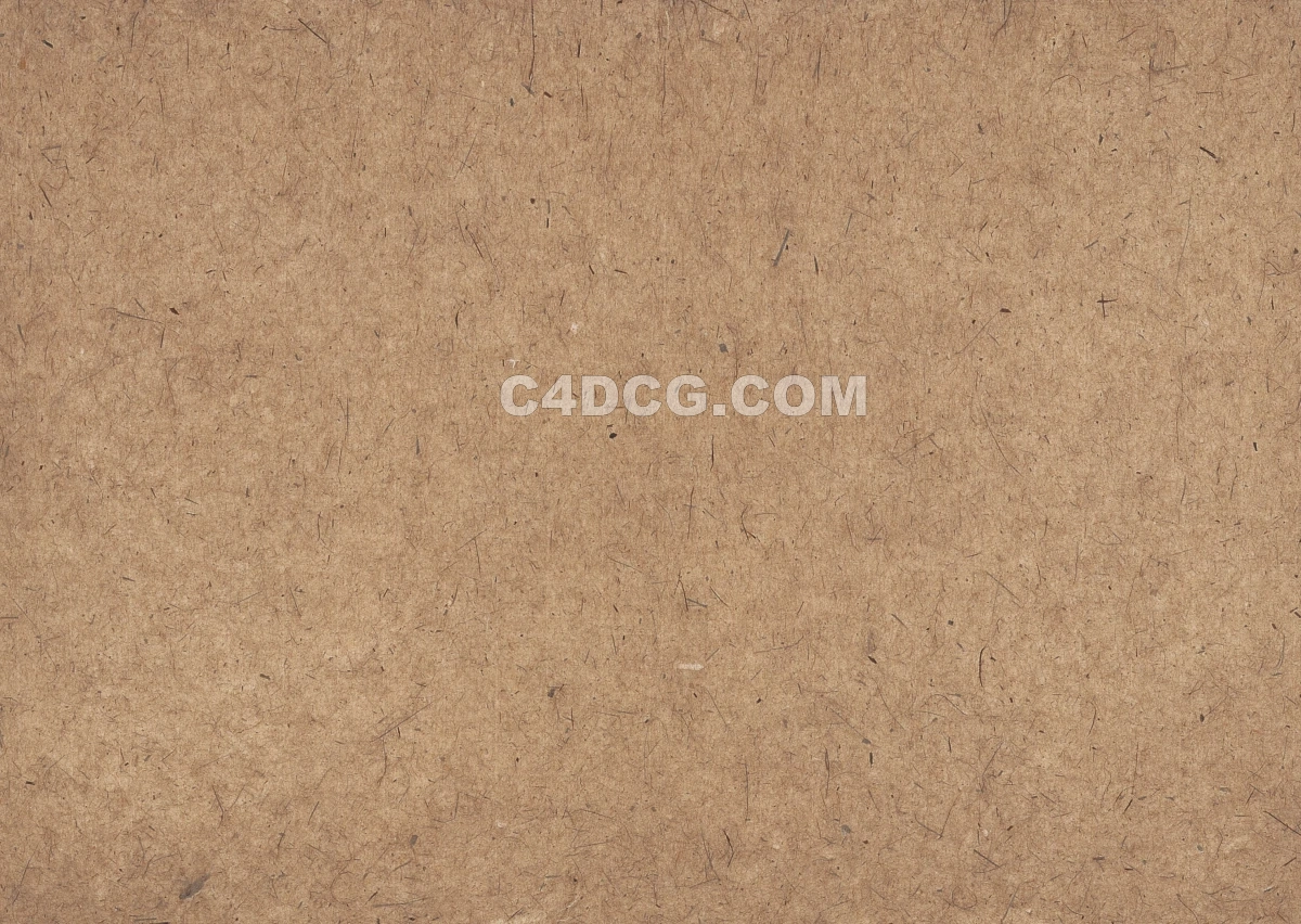 纸纹理-横版宣纸 (250)