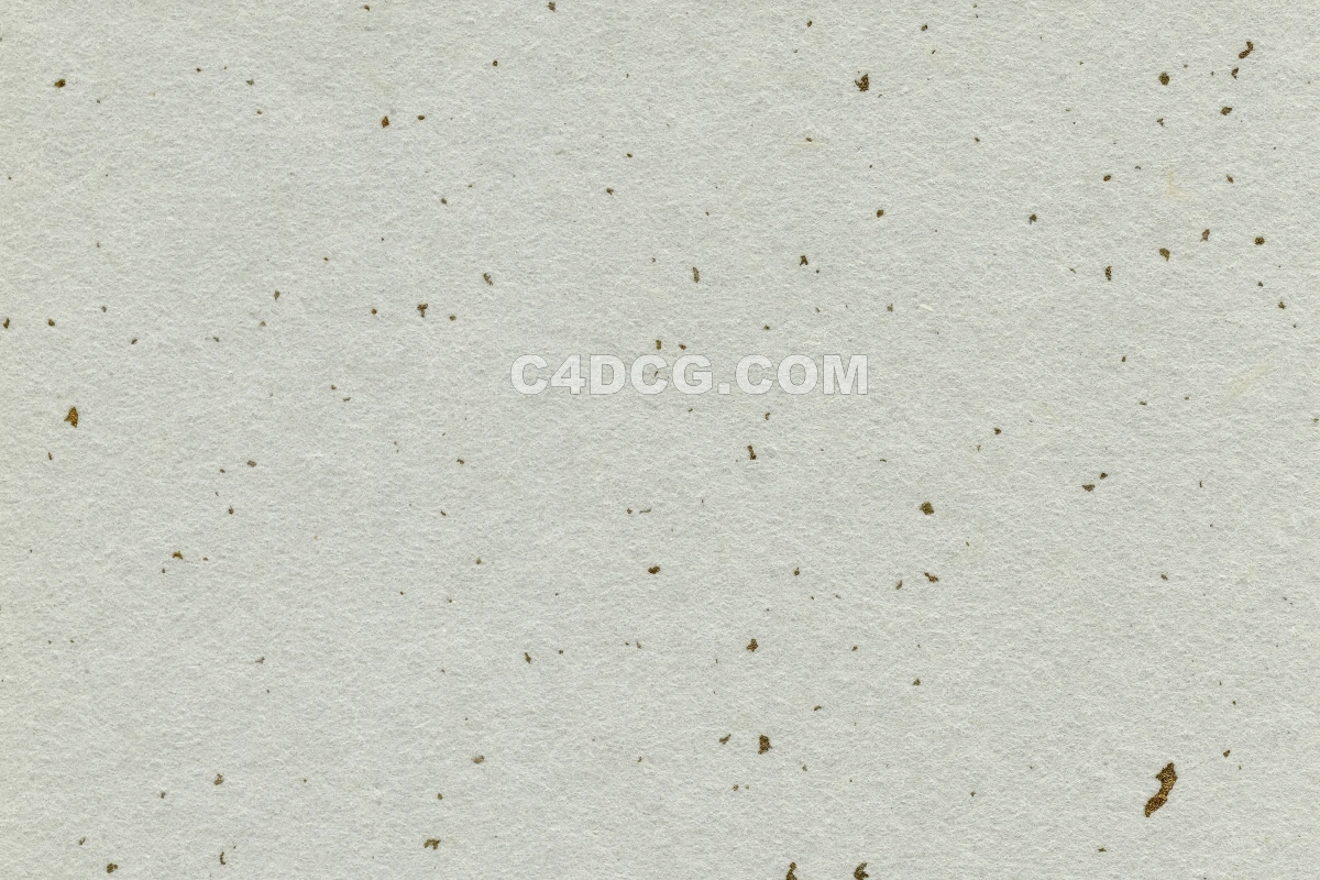 纸纹理-横版宣纸 (223)