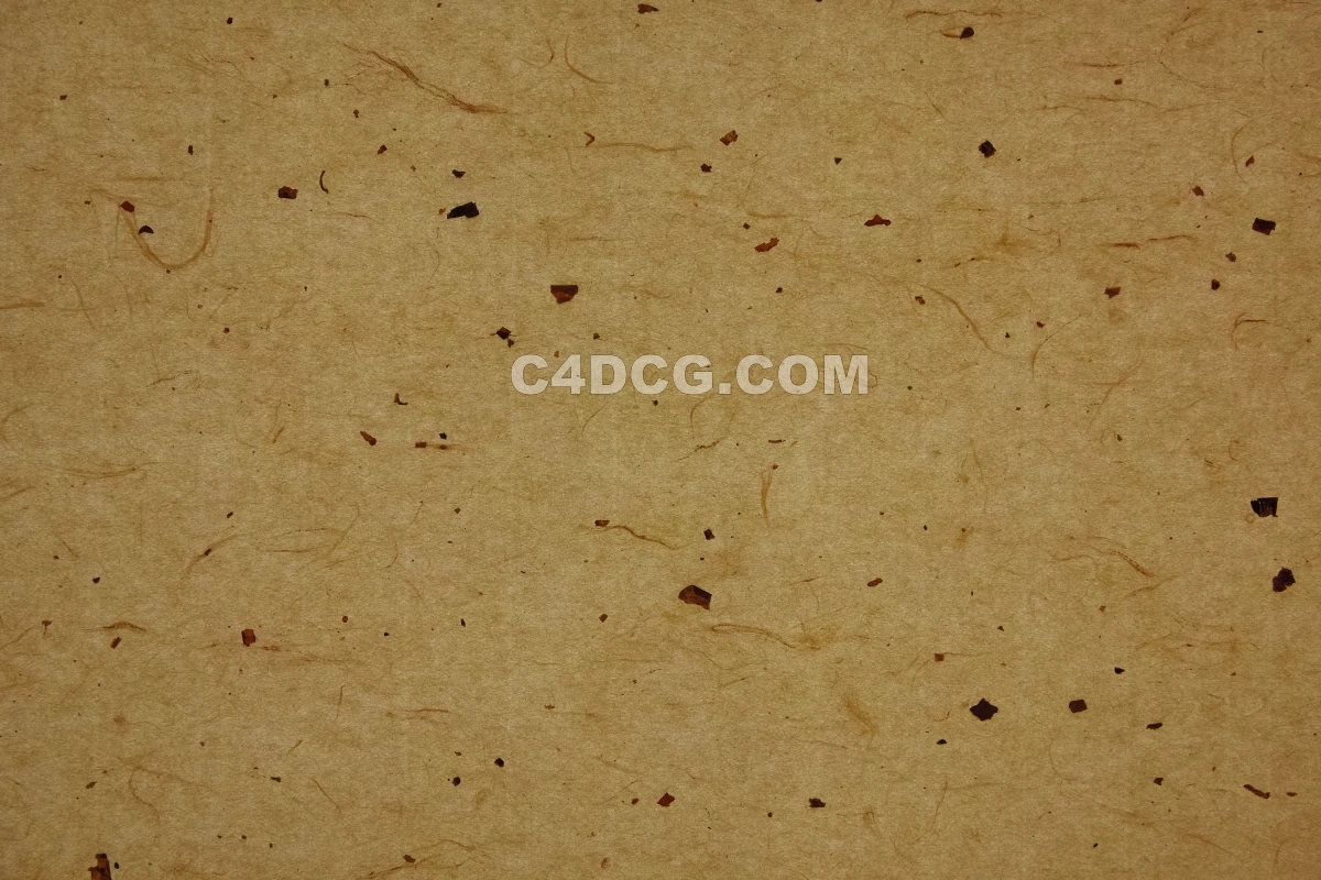 纸纹理-横版宣纸 (230)