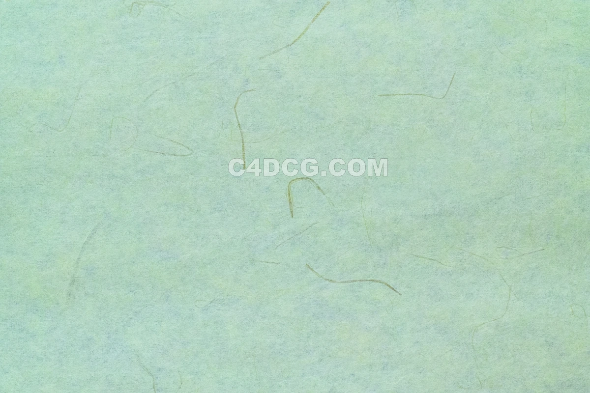 纸纹理-横版宣纸 (138)