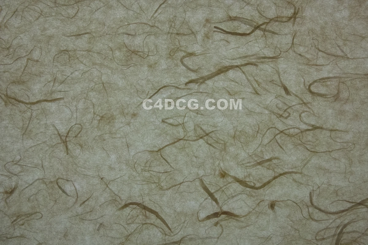 纸纹理-横版宣纸 (144)