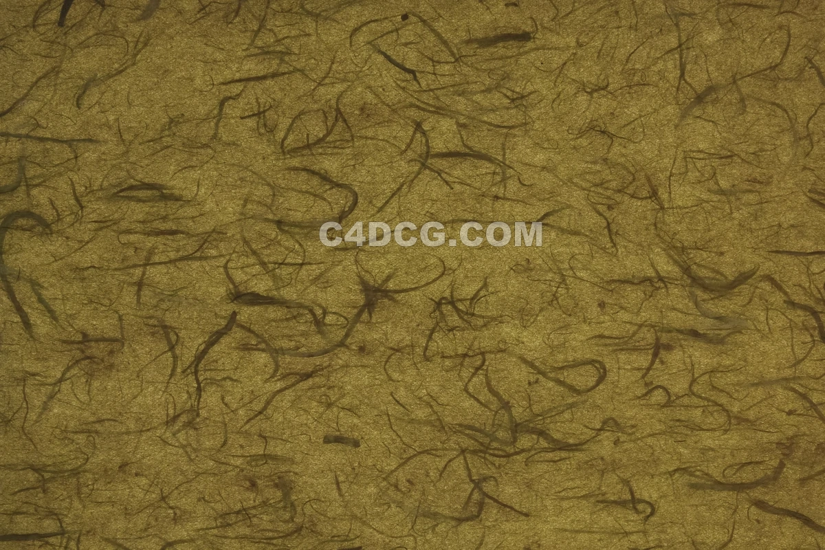 纸纹理-横版宣纸 (147)