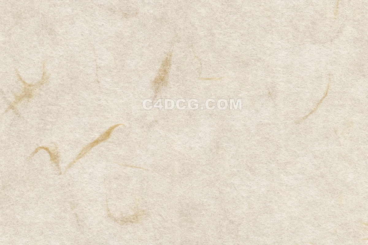 纸纹理-横版宣纸 (72)