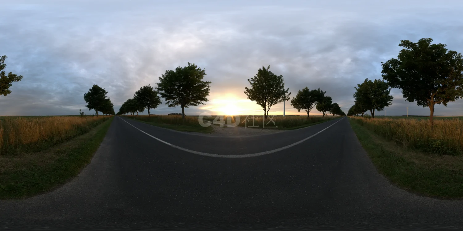 户外草地树木 HDR 23-12-03 (1)