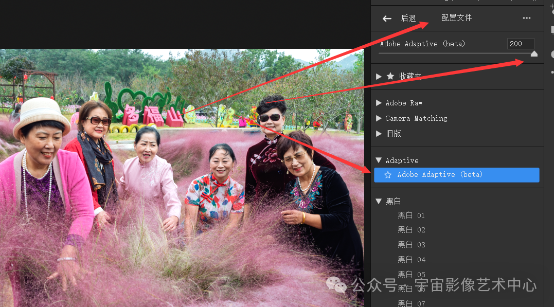 Adobe Camera Raw 17.0 新增功能详解