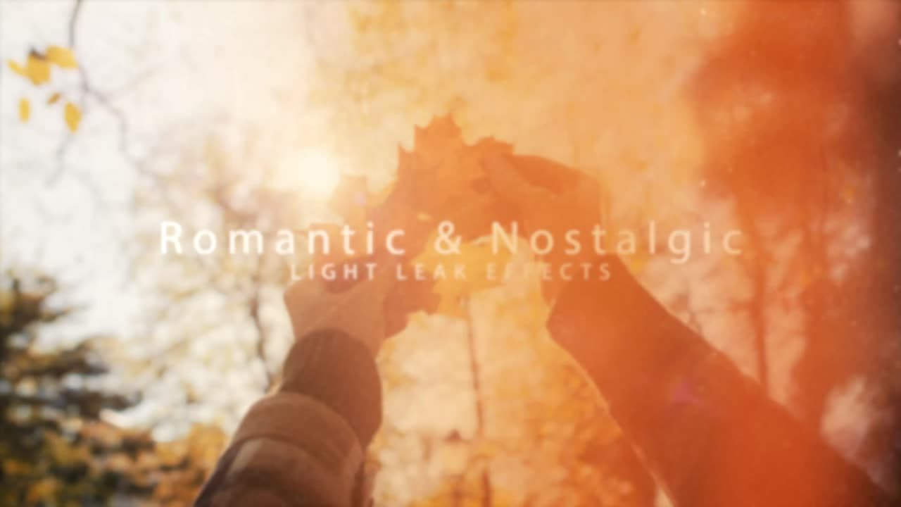 污迹划痕元素光效叠加视频特效 Nostalgic Light Leaks Professional Filters 56656406