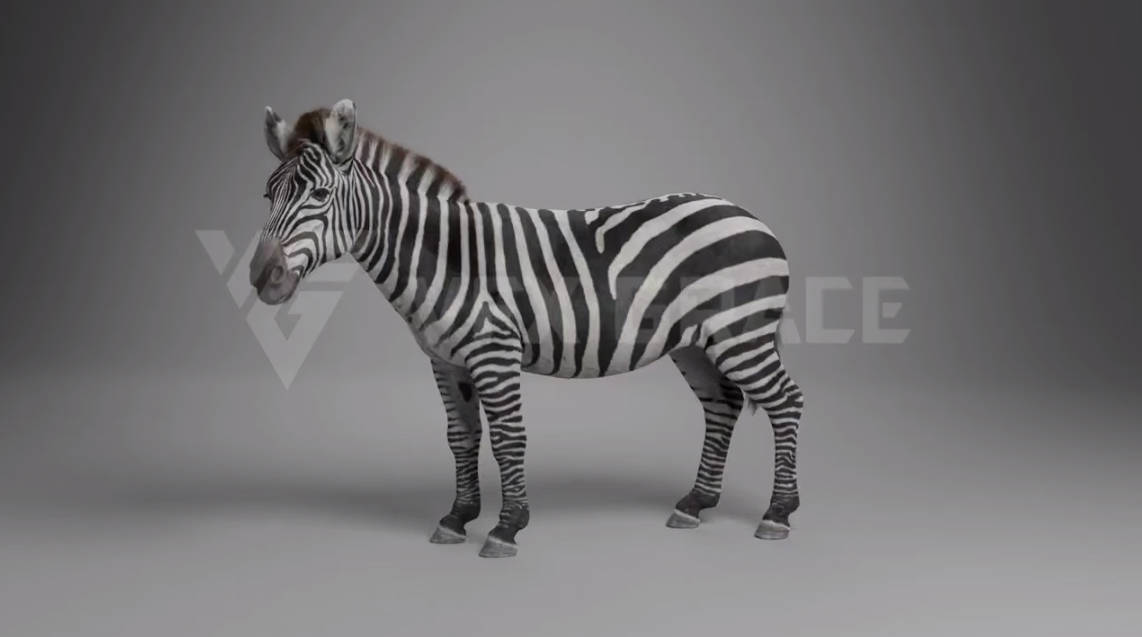 斑马-带动作绑定