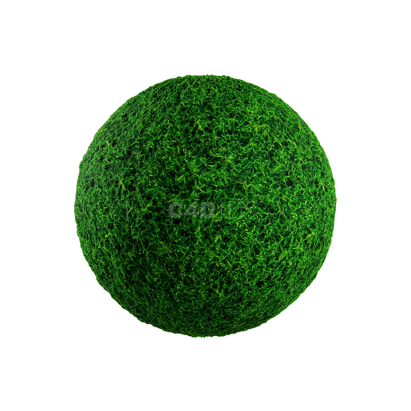 草地贴图2505080015