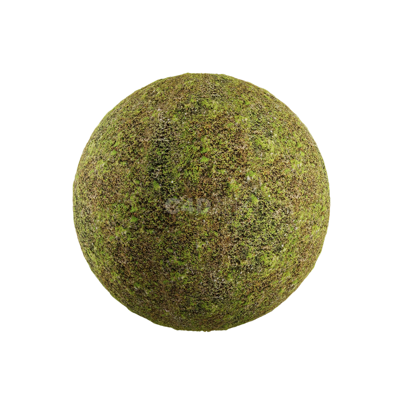 草地贴图2505080025