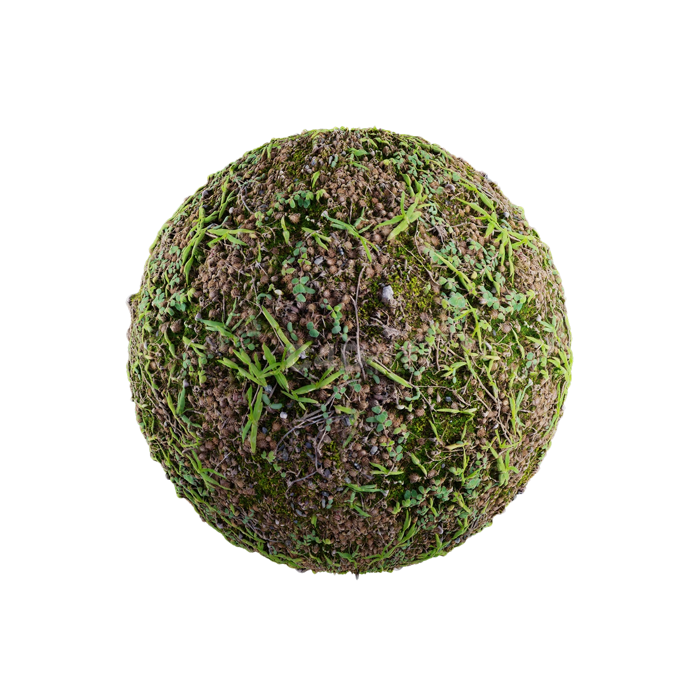 草地贴图250508001