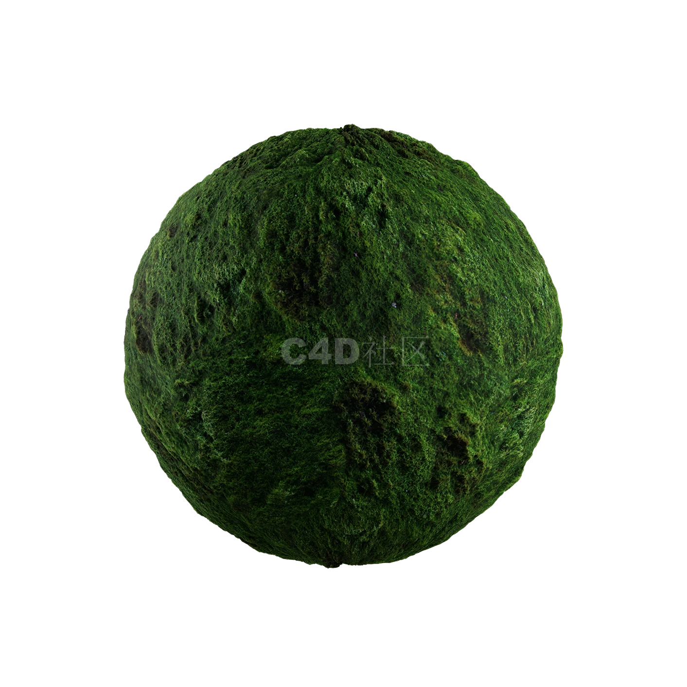 草地贴图250508004