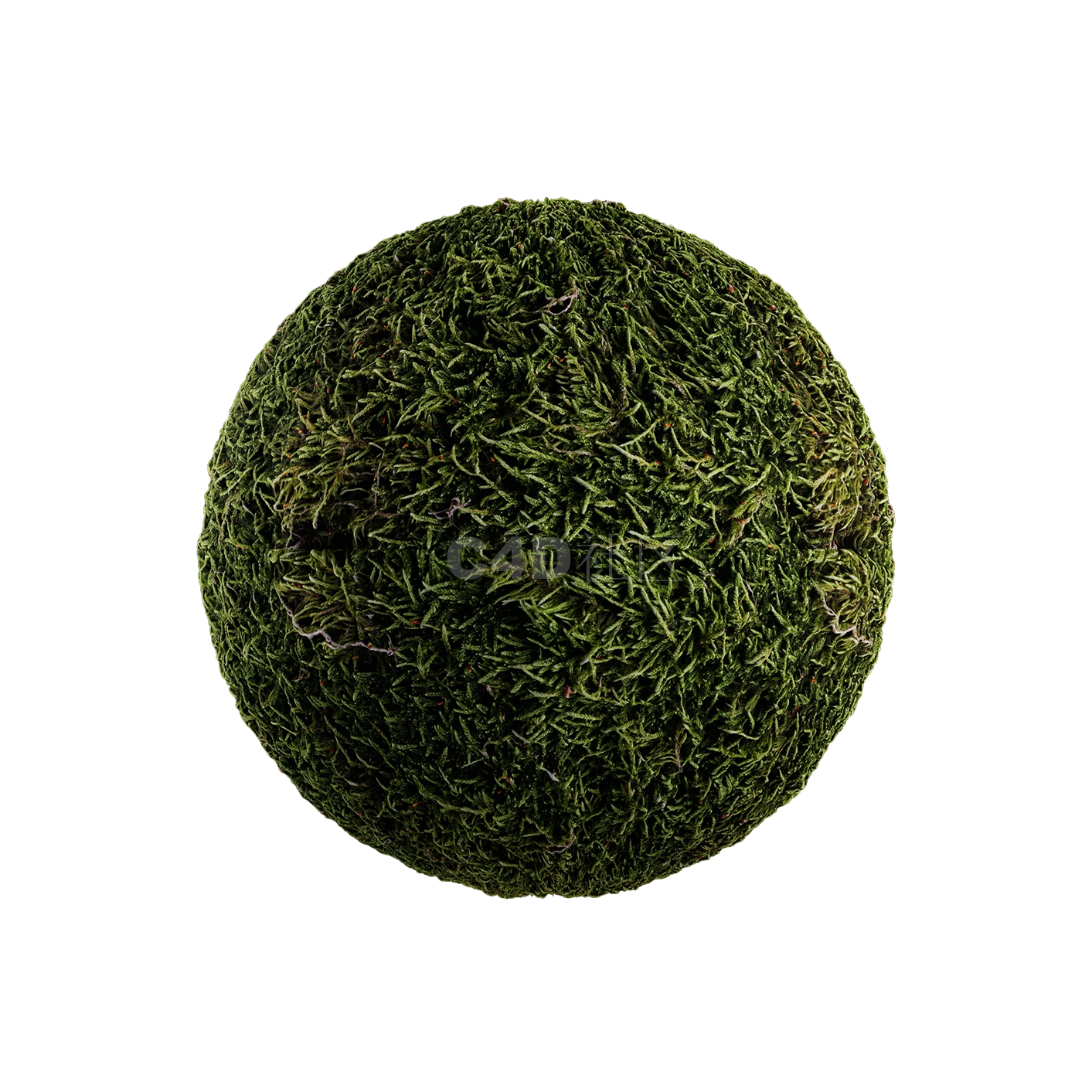 草地贴图2505080028