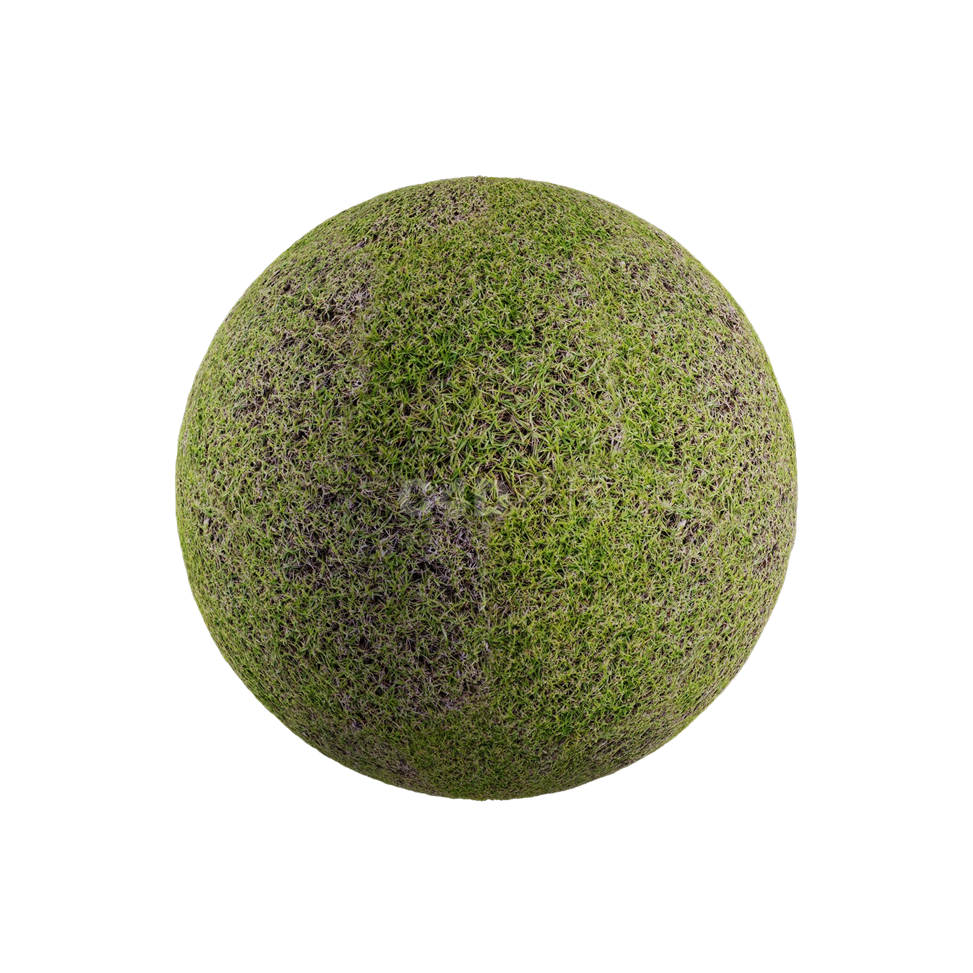 草地贴图2505080022