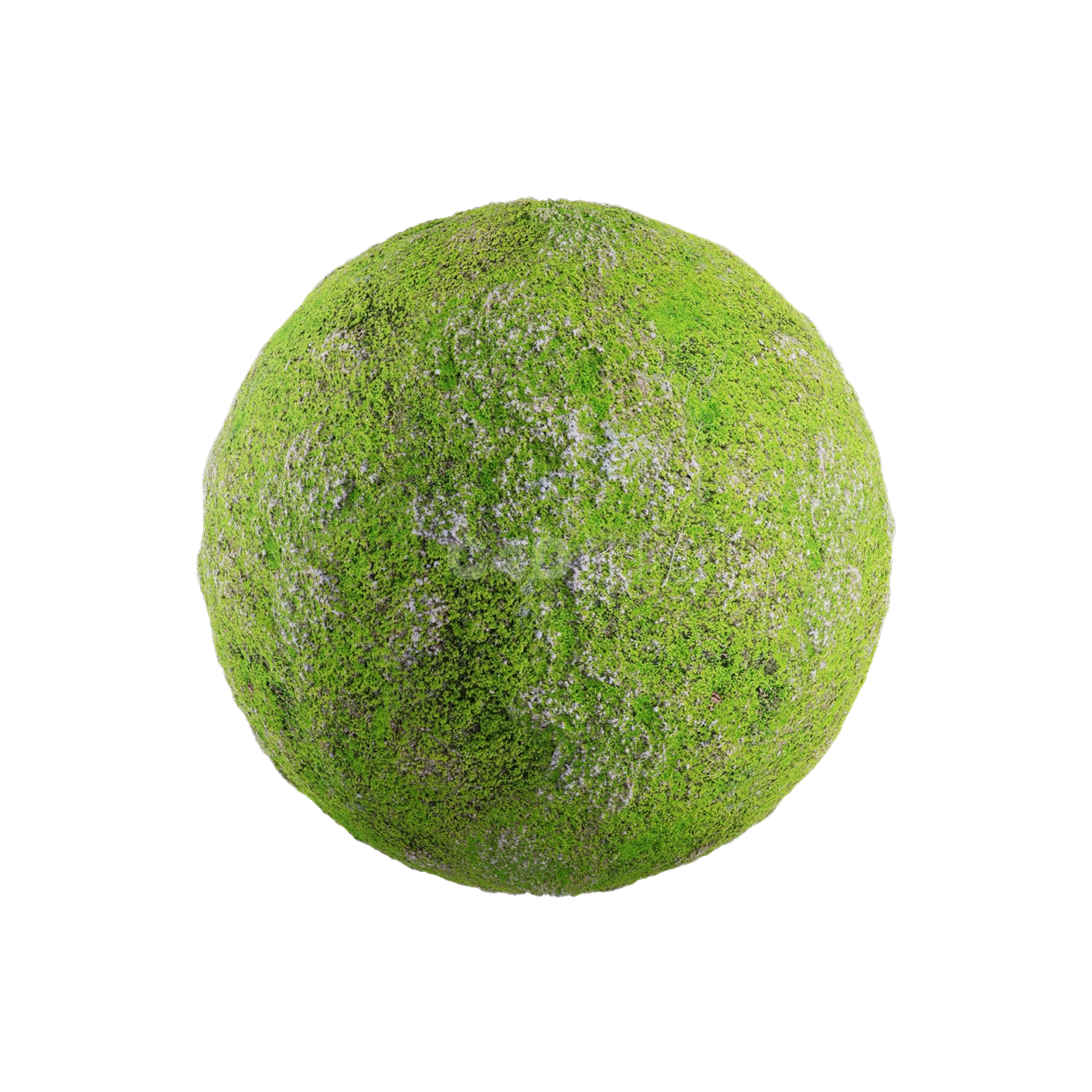 草地贴图2505080014