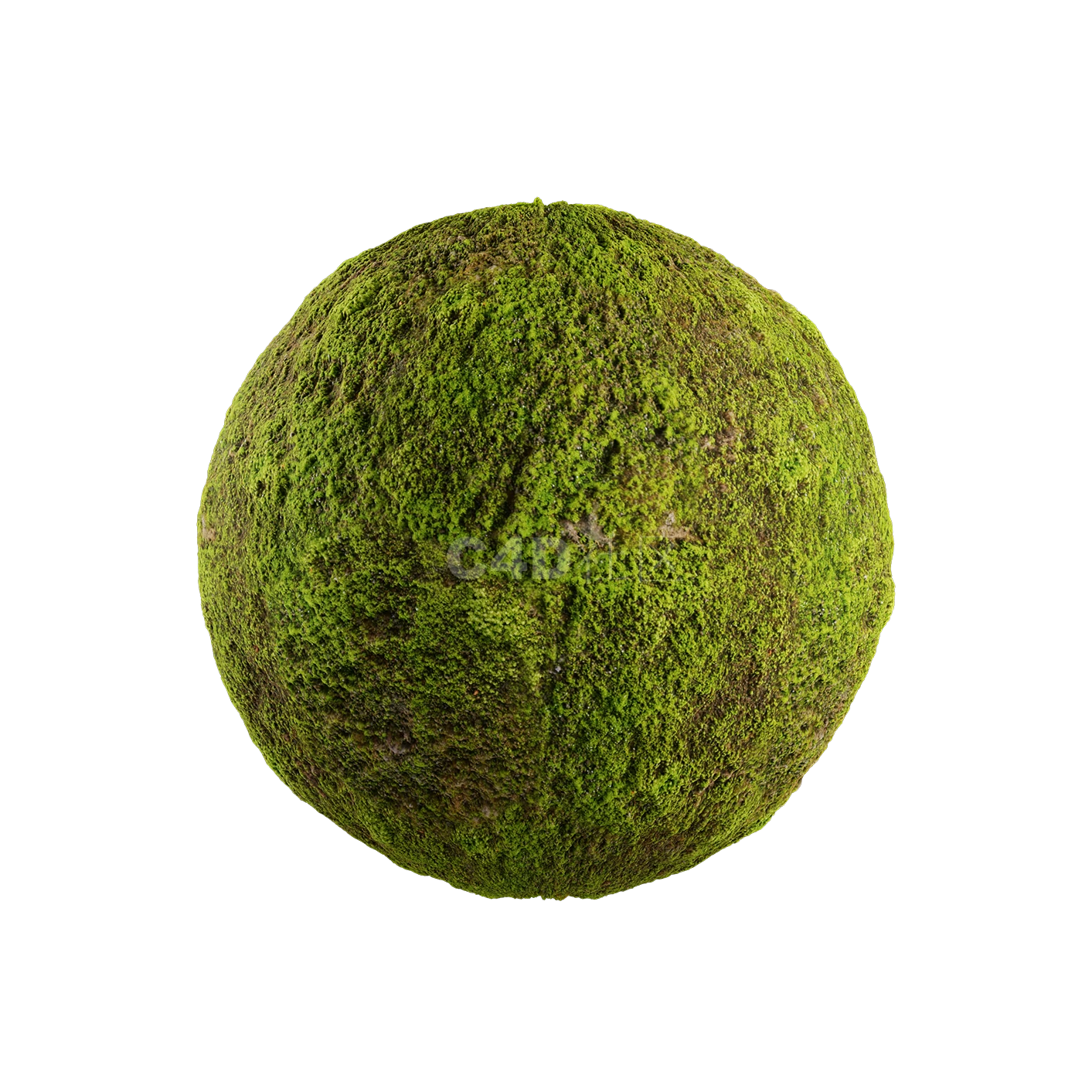 草地贴图250508006