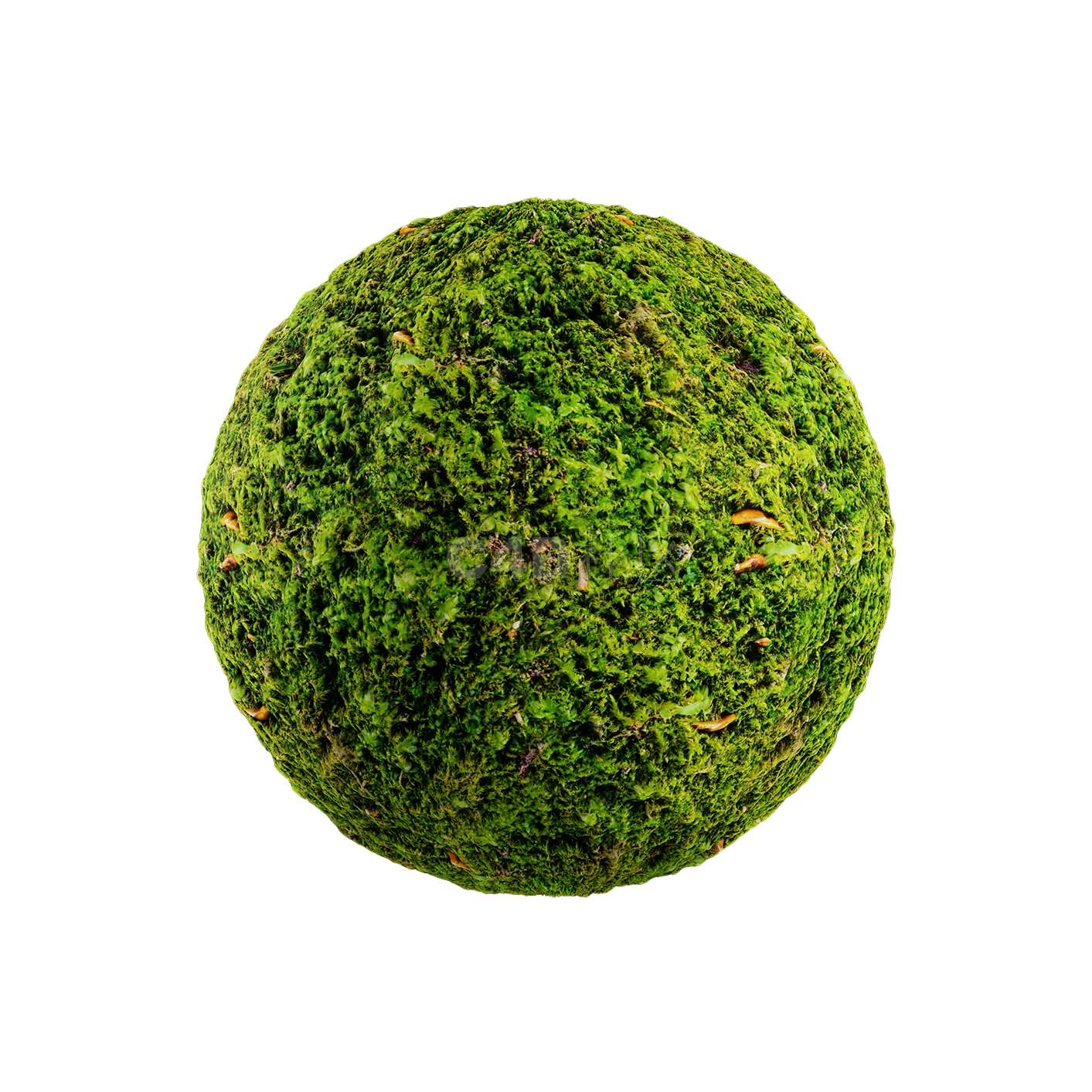 草地贴图2505080016