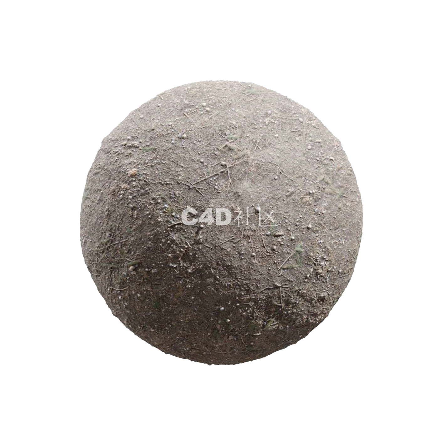 植物草根地面25050802