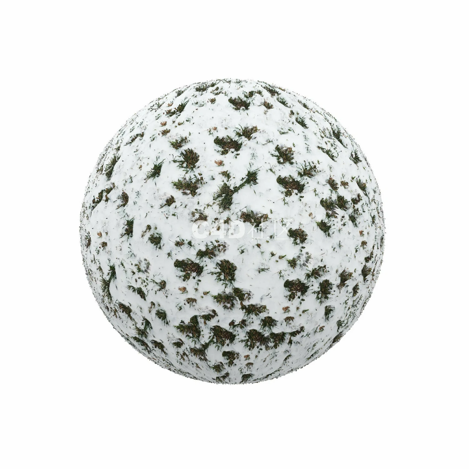 覆盖草的雪 250509012