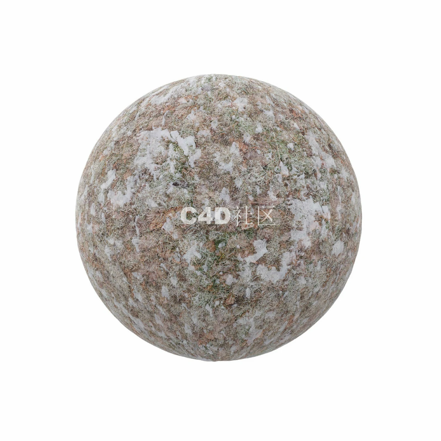 有干树叶的雪 250509035