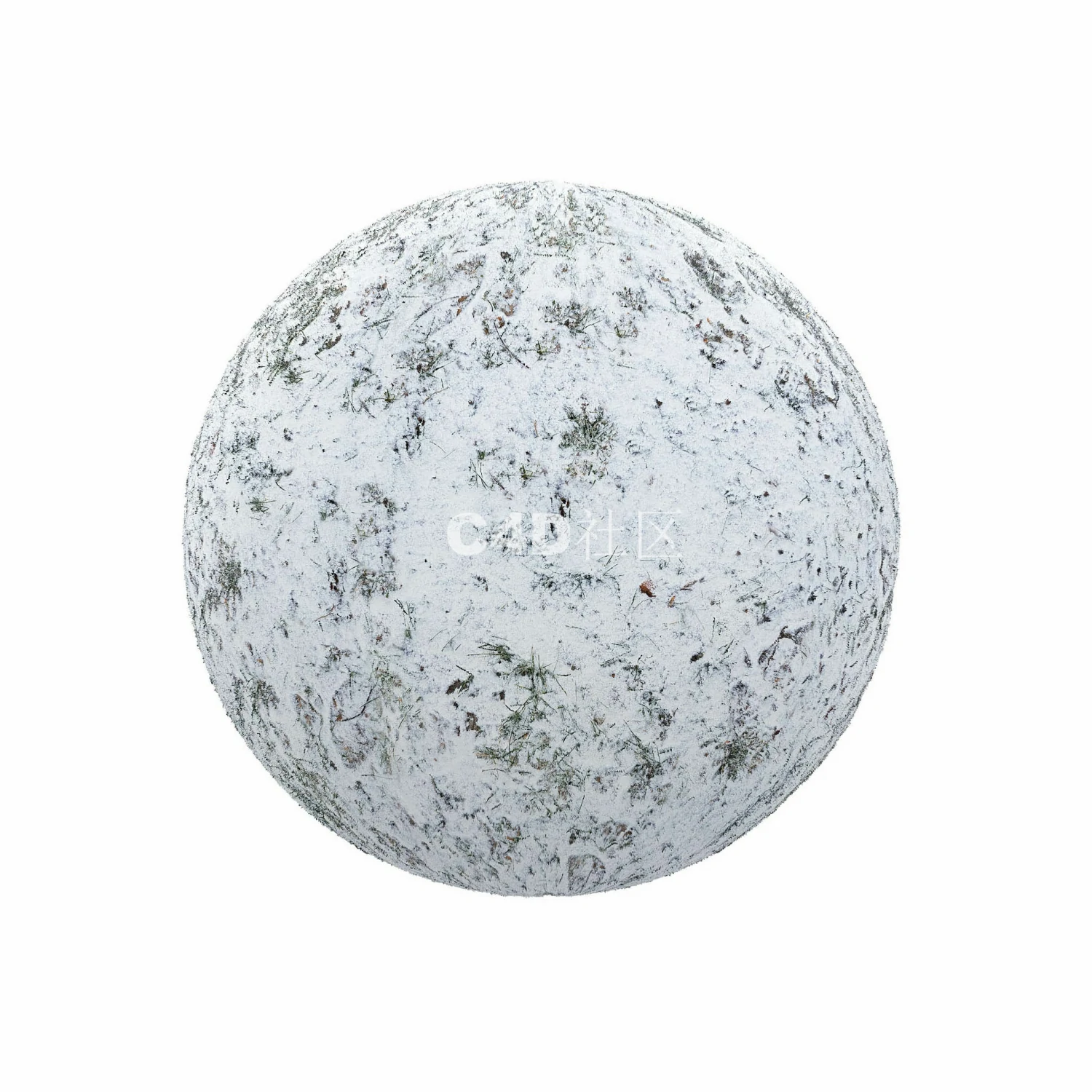 覆盖草的雪 25050902