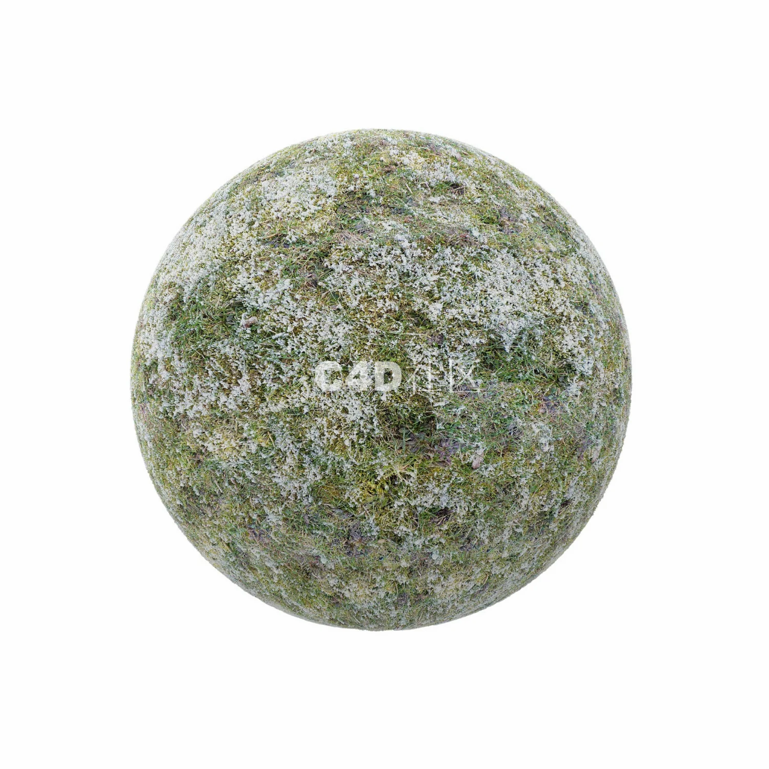 少量雪的草地 250509027