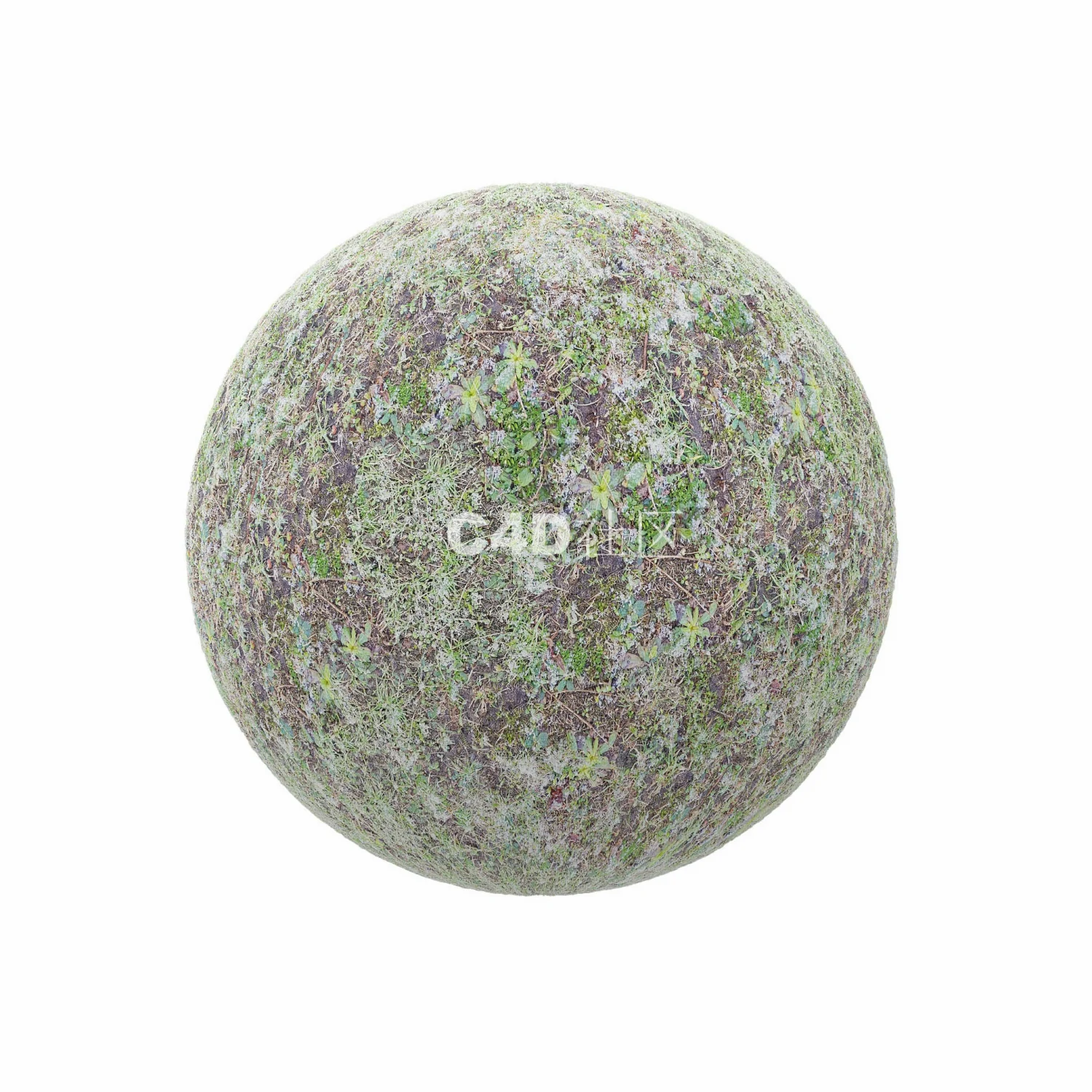 少量雪的草地 250509026