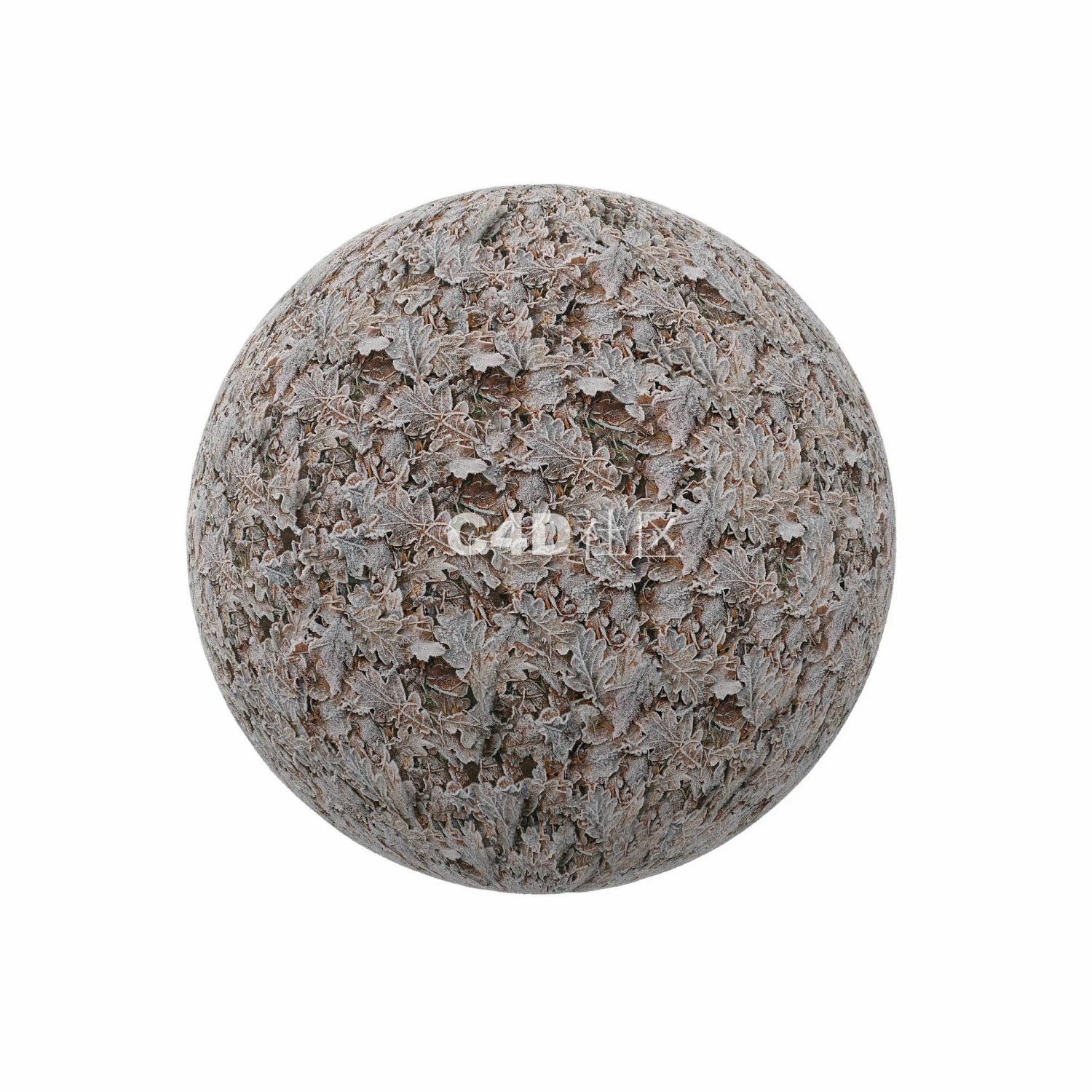 枯萎结霜的树叶 250509025