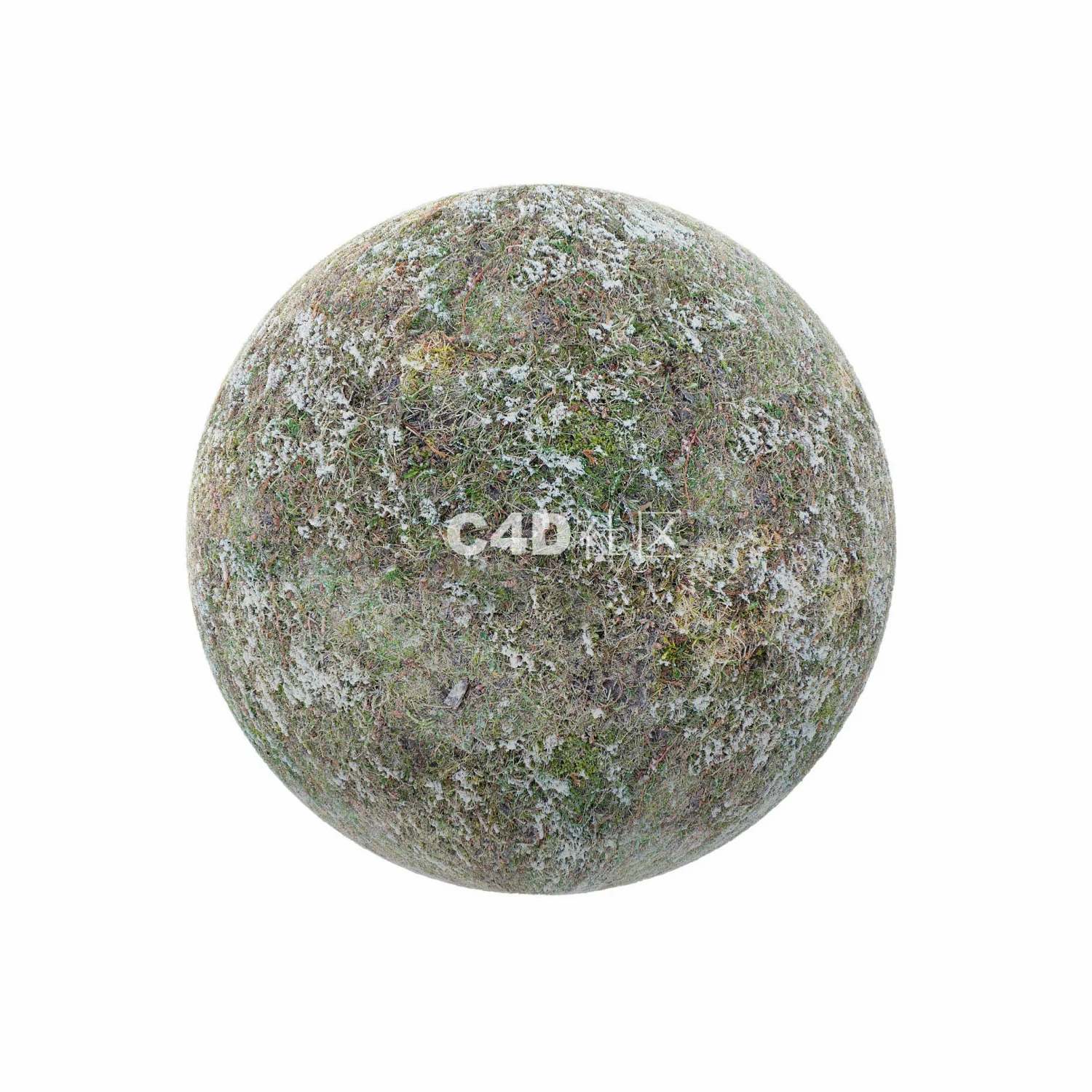 少量雪的草地 250509029