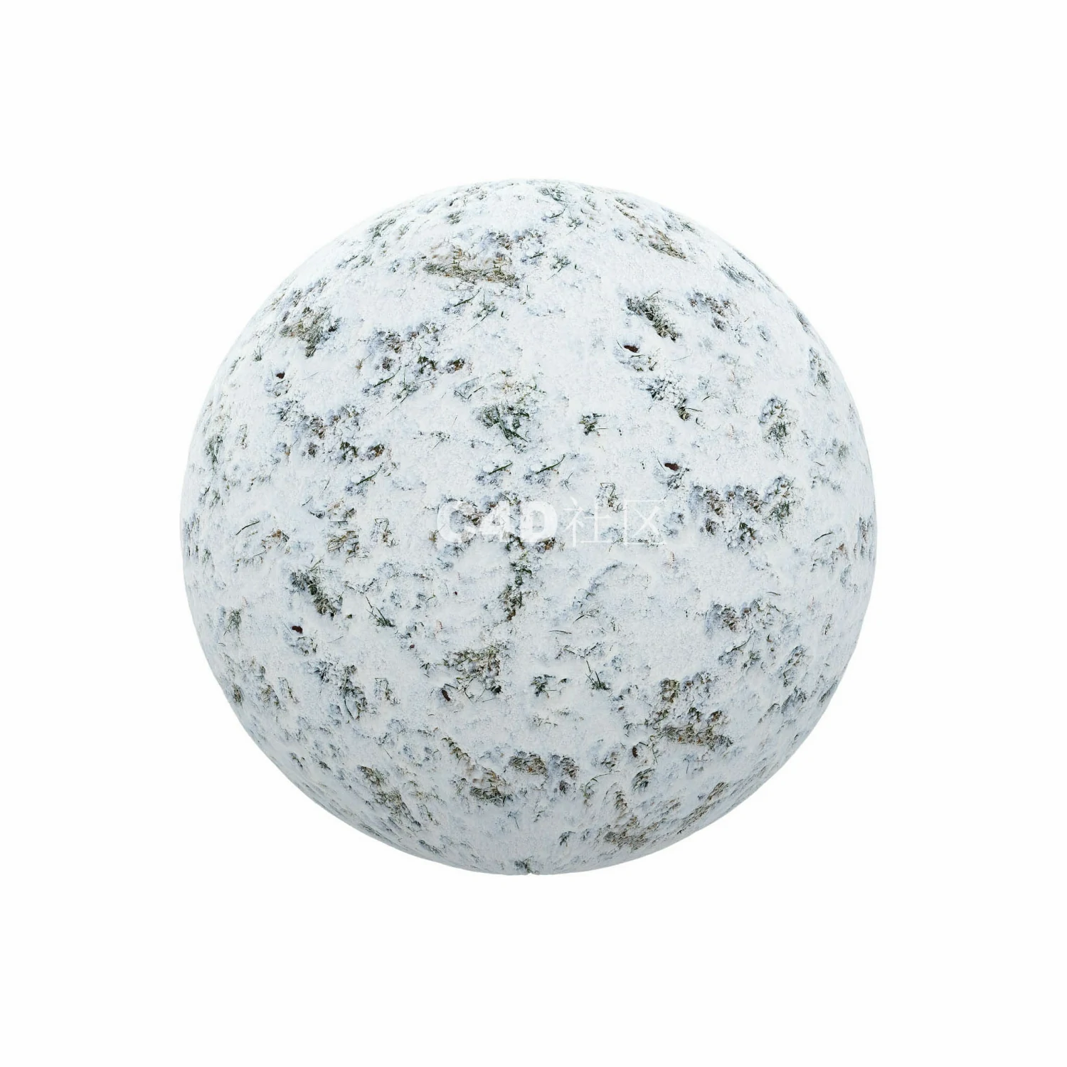 覆盖草的雪 25050909