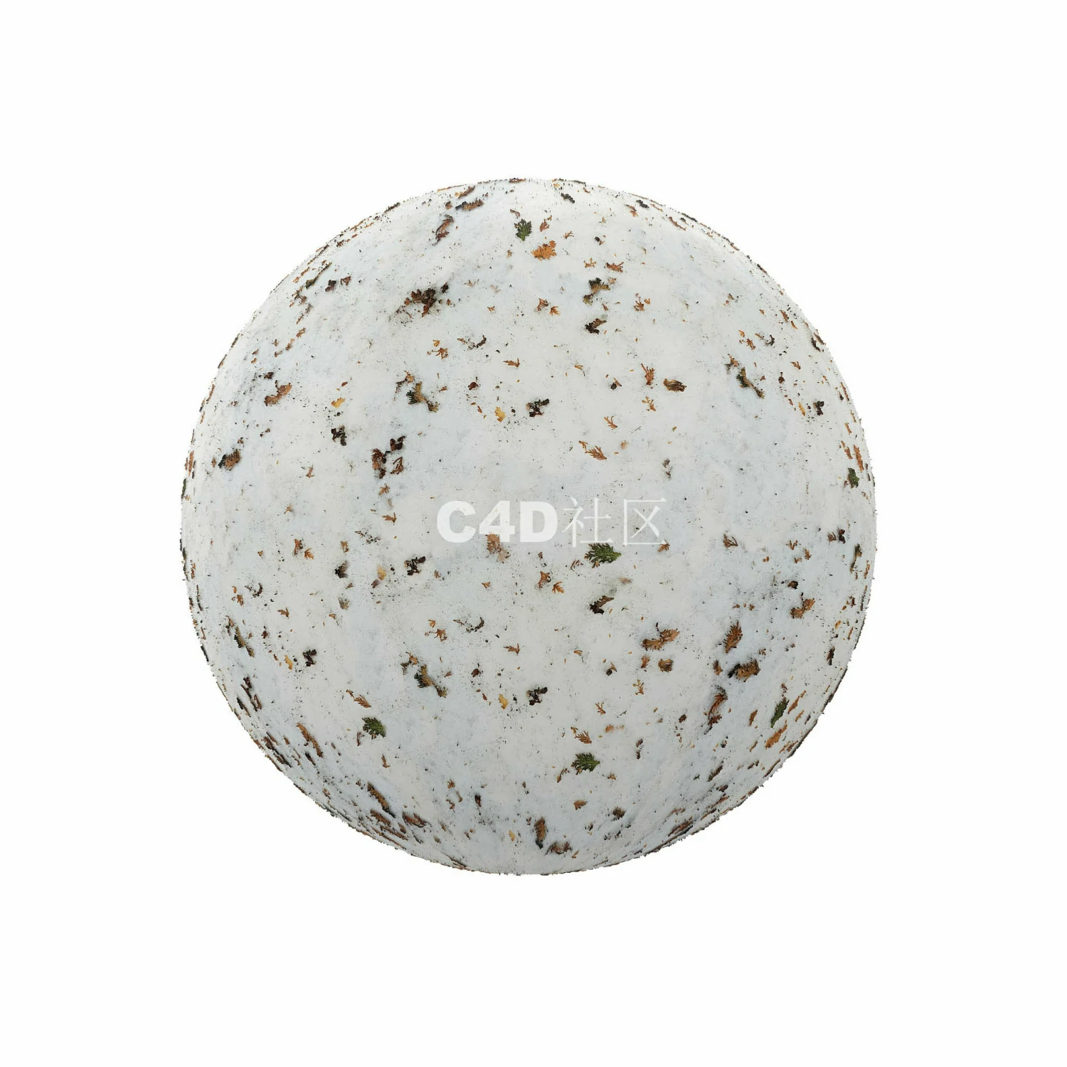 有干树叶的雪 250509036