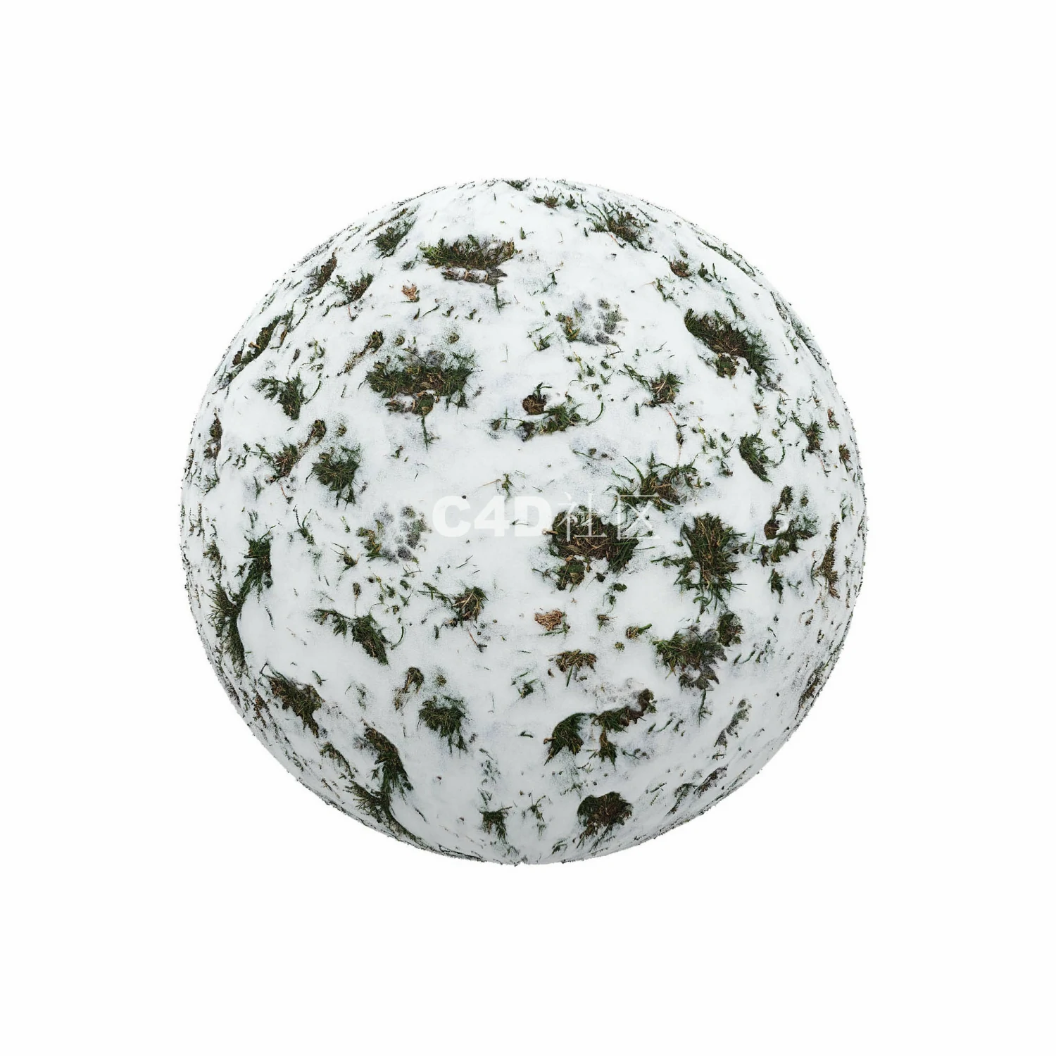 覆盖草的雪 250509011